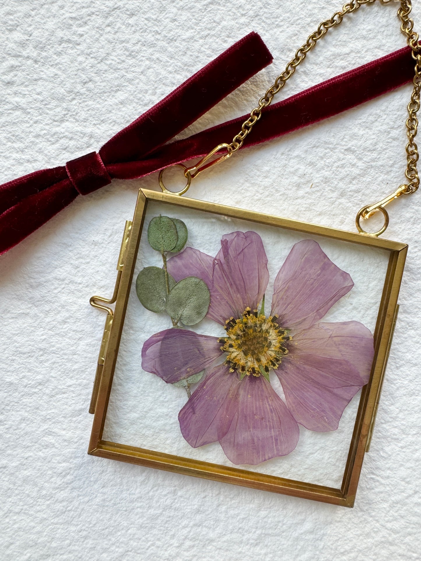 Pressed Flower Ornament in Glass & Metal Frame - Cosmo