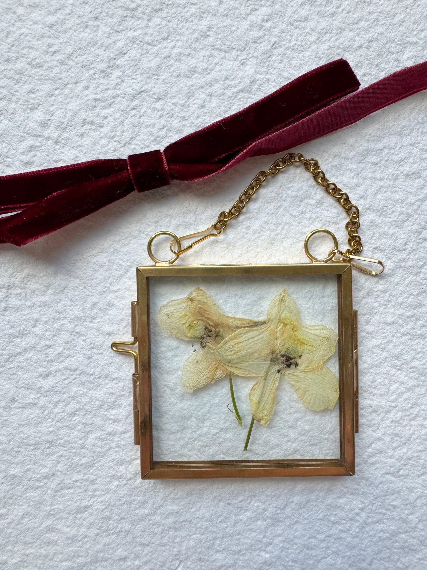 Pressed Flower Ornament in Glass & Metal Frame - White Delphinium