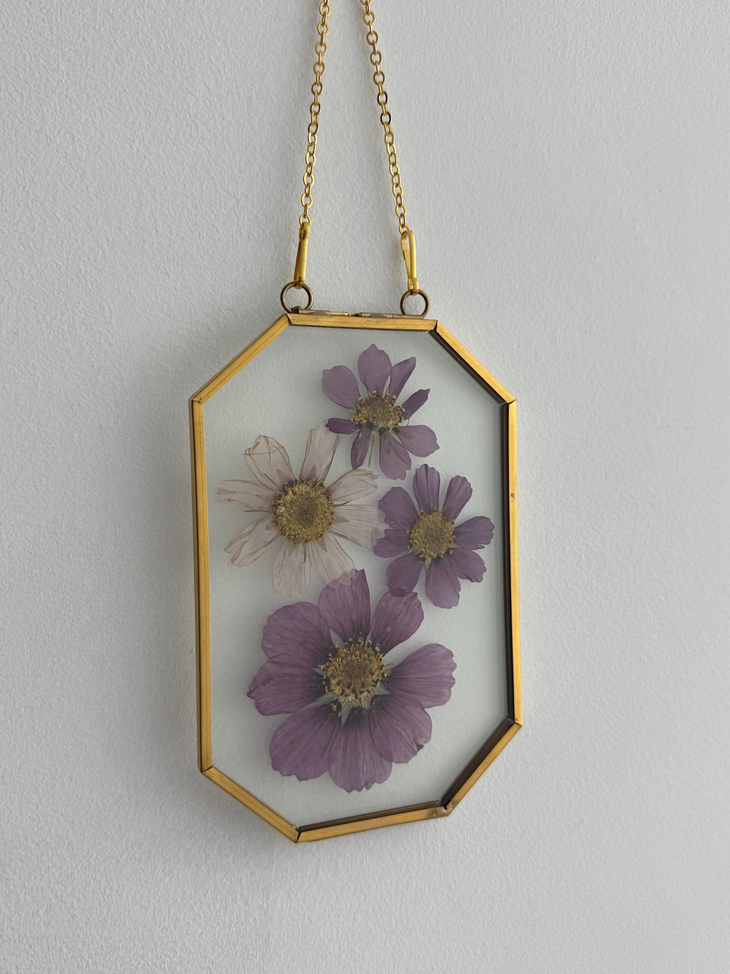 Pressed Cosmos Floral Art in 4x6 Golden Brass Frame