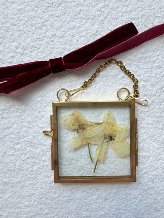 Pressed Flower Ornament in Glass & Metal Frame - White Delphinium