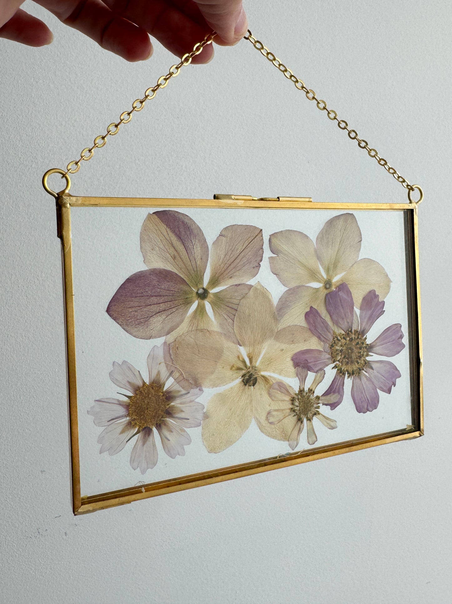 Pressed Hellebores and Cosmos Floral Art in 4x6 Golden Brass Frame