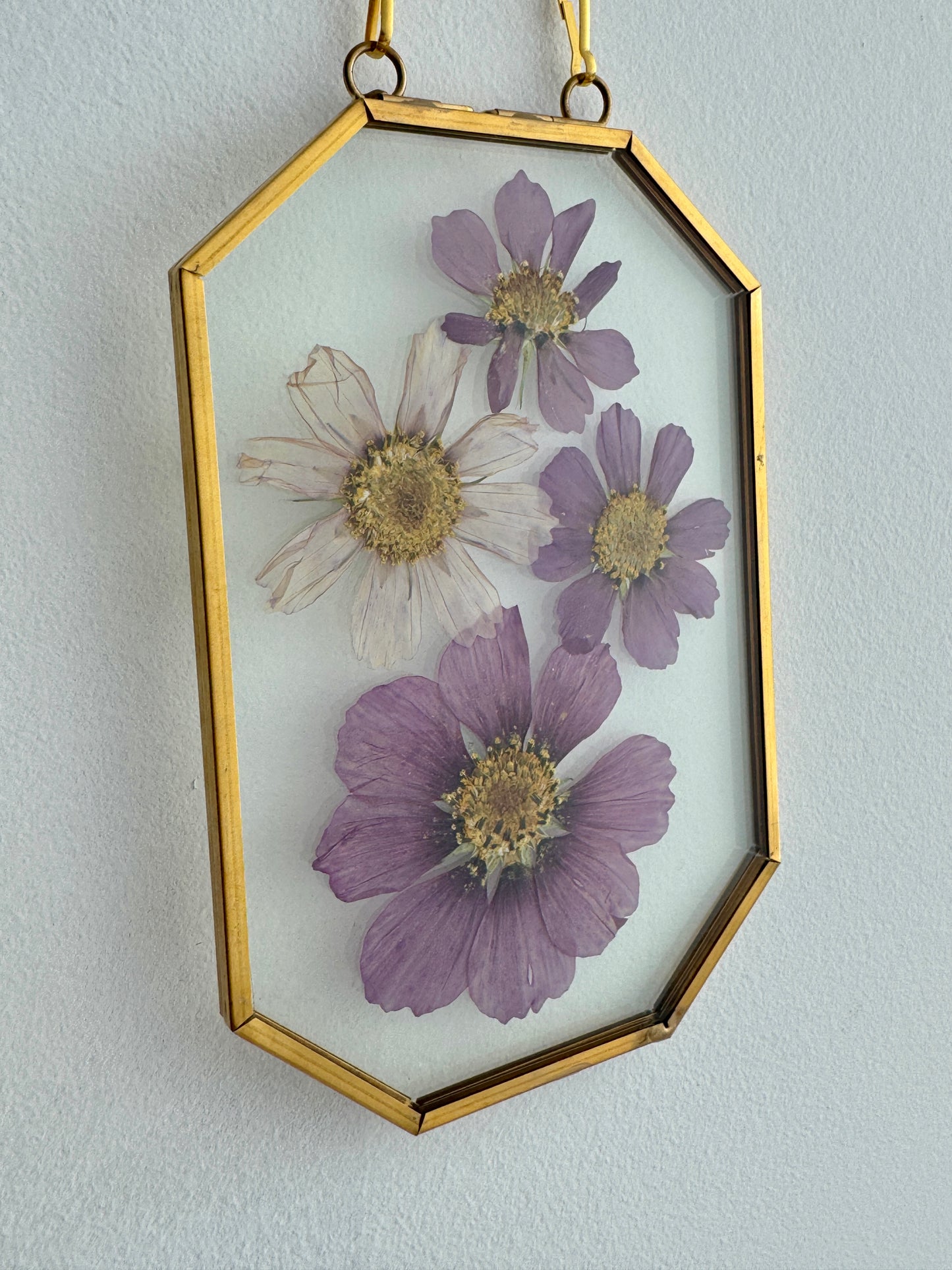 Pressed Cosmos Floral Art in 4x6 Golden Brass Frame