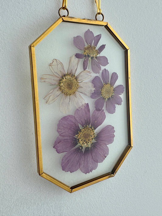 Pressed Cosmos Floral Art in 4x6 Golden Brass Frame
