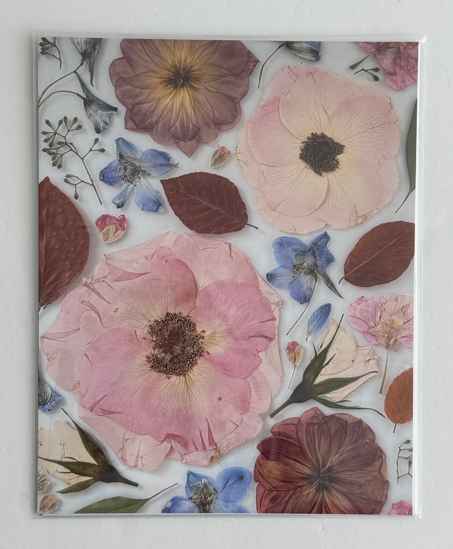 8x10 Pressed Floral Photo Prints | Botanical Wall Art by Everflorals