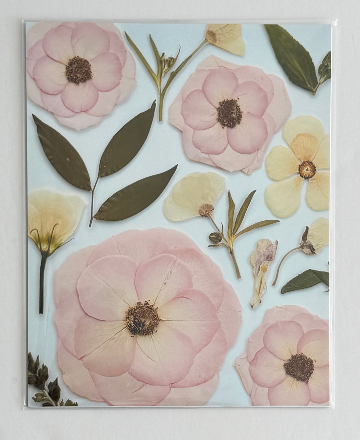 8x10 Pressed Floral Photo Prints | Botanical Wall Art by Everflorals